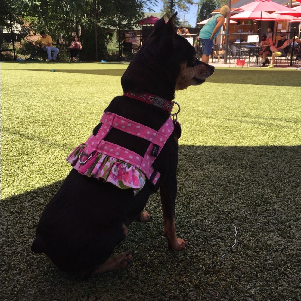 Meet your Posher, John